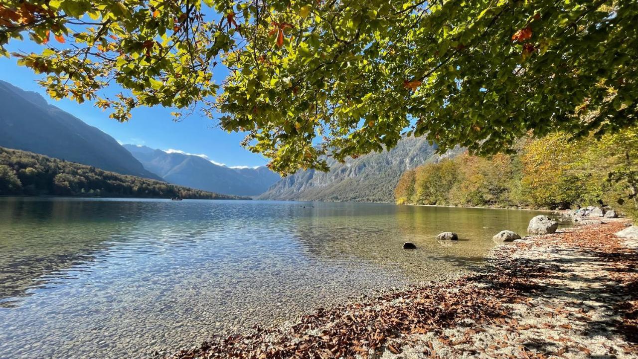 Zotlar House Hotel Bohinj Exterior photo